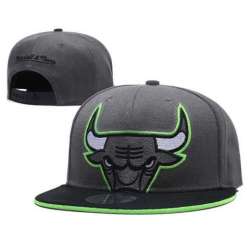 Bulls Team Logo Gray Mitchell & Ness Adjustable Hat GS