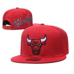 Bulls Team Logo Red Adjustable Hat GS (2)