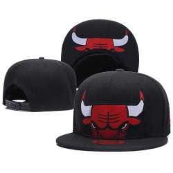 Bulls Team Logo Snapback Adjustable Hat & Cap LTMY