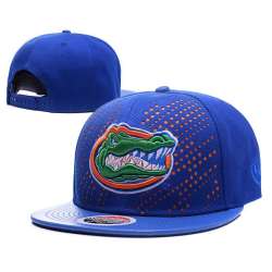 Florida Gators Team Logo Blue Adjustable Hat GS