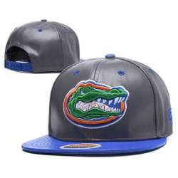 Florida Gators Team Logo Gray Blue Adjustable Hat GS