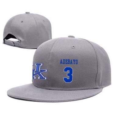 Kentucky Wildcats #3 Edrice Adebayo Gray College Basketball Adjustable Hat