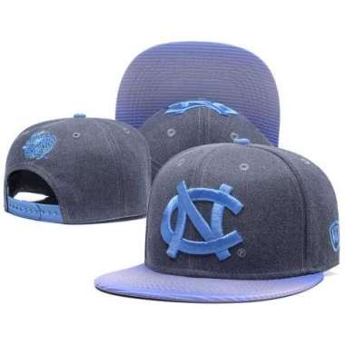 North Carolina Tar Heels Team Logo Gray Ajustable Hat GS