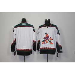 Phoenix Coyotes Blank New White Stitched NHL Jersey
