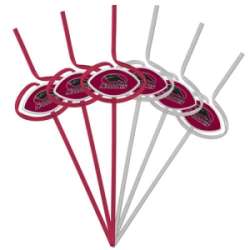 Southern Illinois Salukis Team Sipper Straws CO