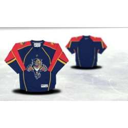 Youth Florida Panthers Customized Blue Stitched Hockey Jersey