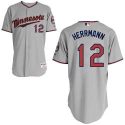 #12 Chris Herrmann Gray MLB Jersey-Minnesota Twins Stitched Player Baseball Jersey